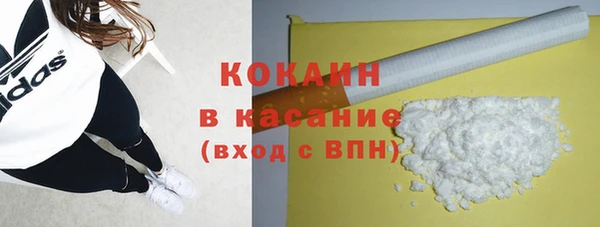 гидра Богородицк